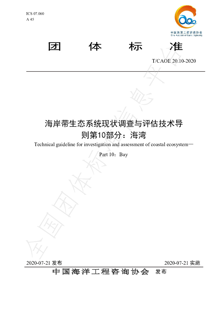 T/CAOE 20.10-2020 标准预览