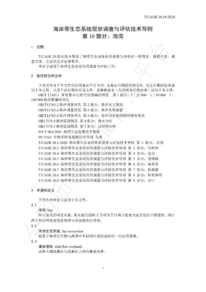 T/CAOE 20.10-2020 标准预览