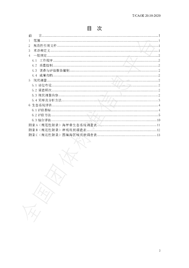 T/CAOE 20.10-2020 标准预览