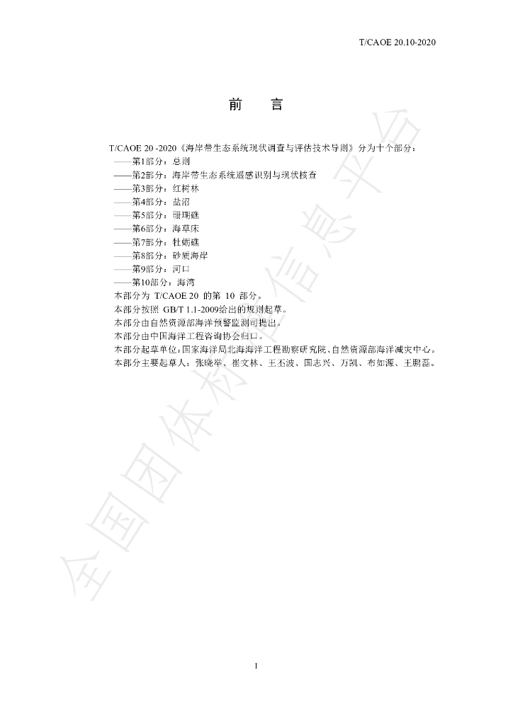 T/CAOE 20.10-2020 标准预览