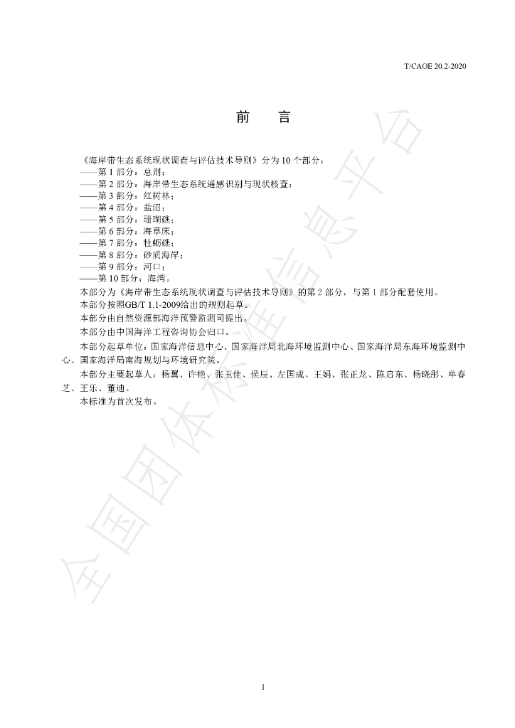 T/CAOE 20.2-2020 标准预览