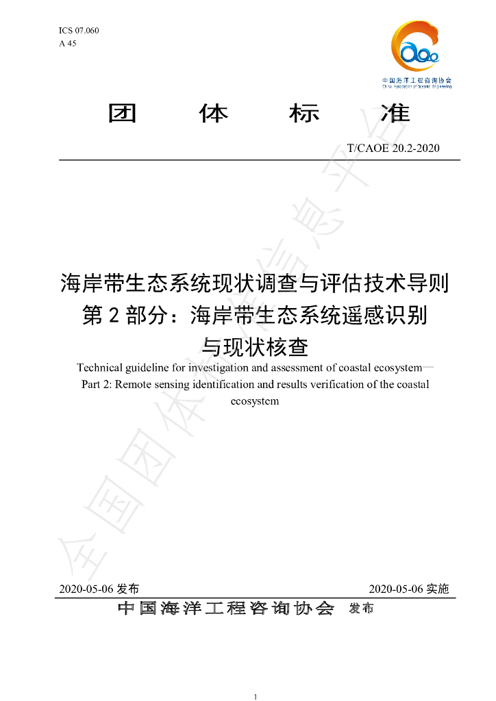 T/CAOE 20.2-2020 标准预览
