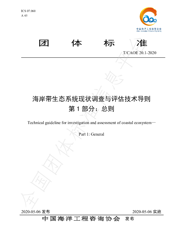 T/CAOE 20.1-2020 标准预览