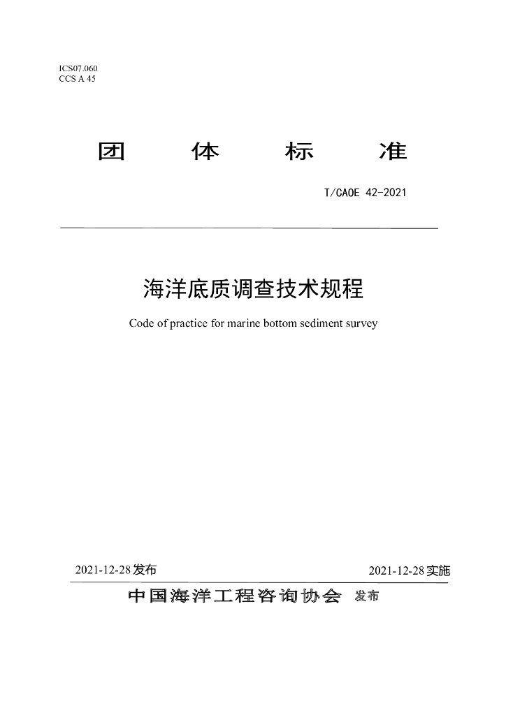 T/CAOE 42-2021 标准预览