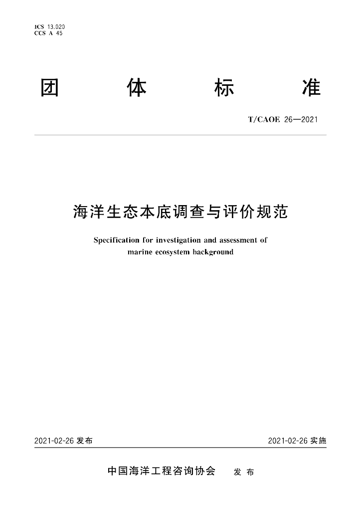 T/CAOE 26-2021 标准预览