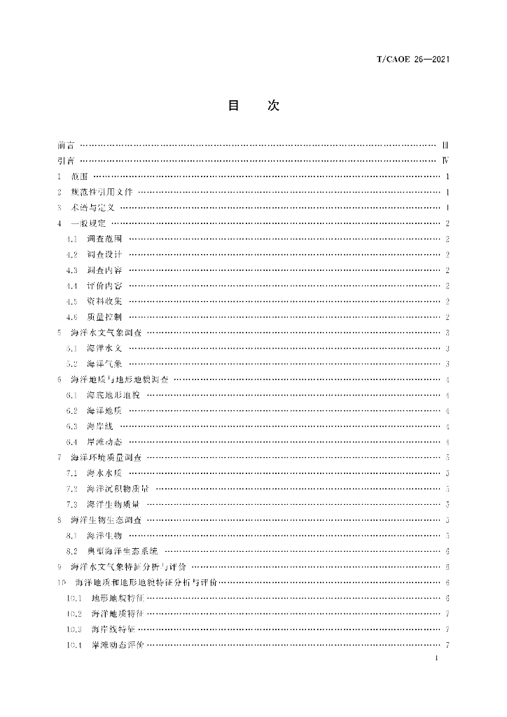 T/CAOE 26-2021 标准预览