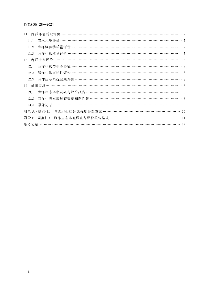 T/CAOE 26-2021 标准预览