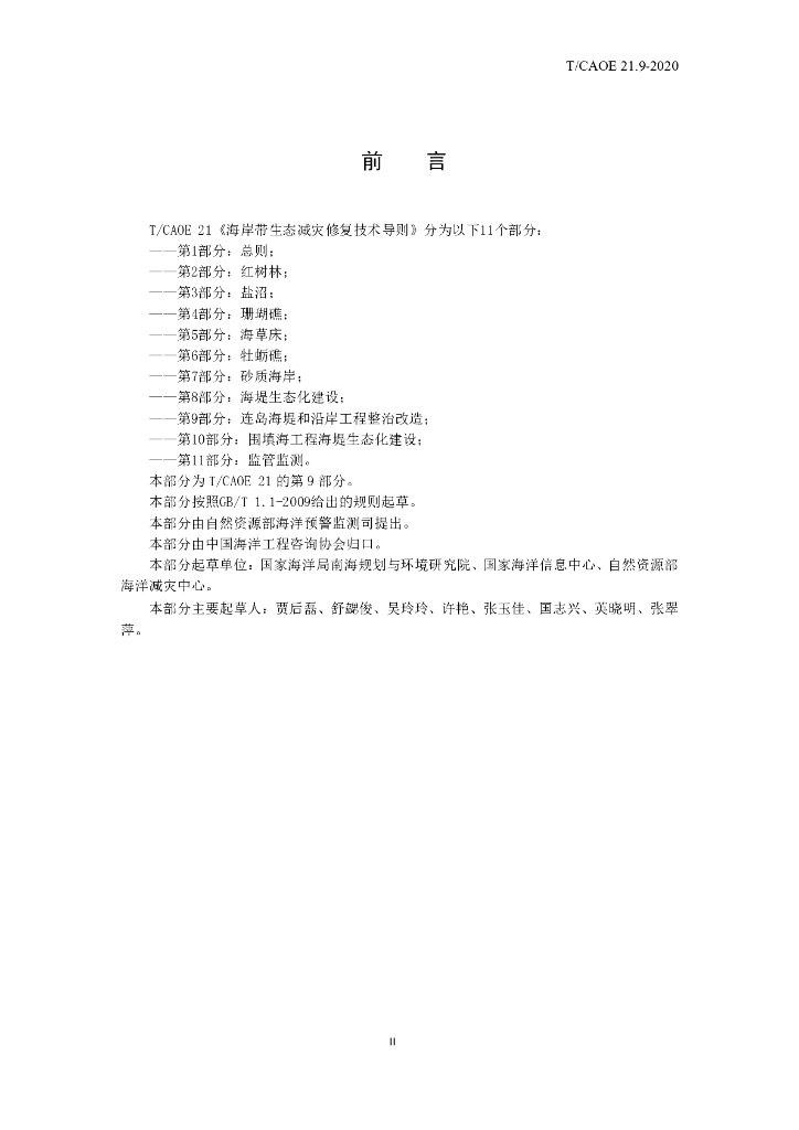 T/CAOE 21.9-2020 标准预览