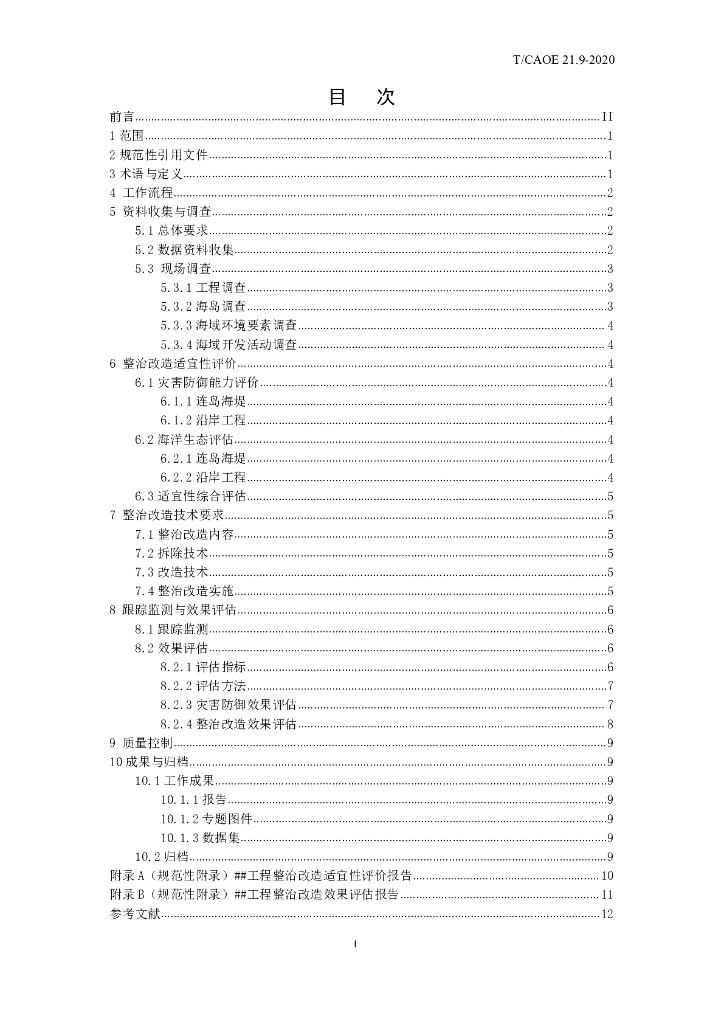 T/CAOE 21.9-2020 标准预览
