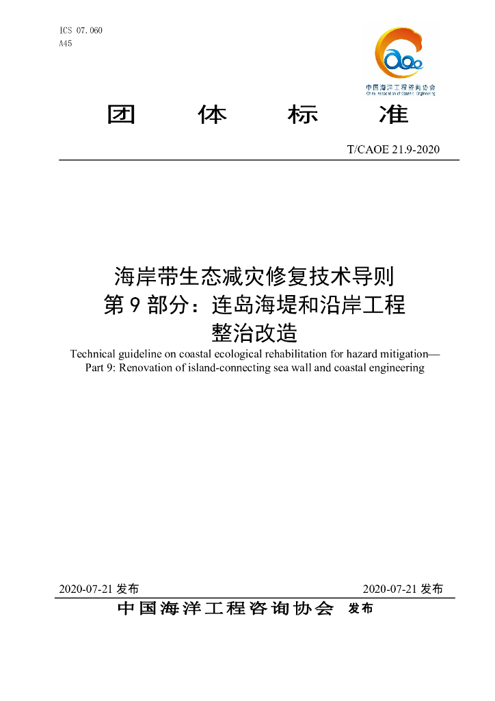 T/CAOE 21.9-2020 标准预览