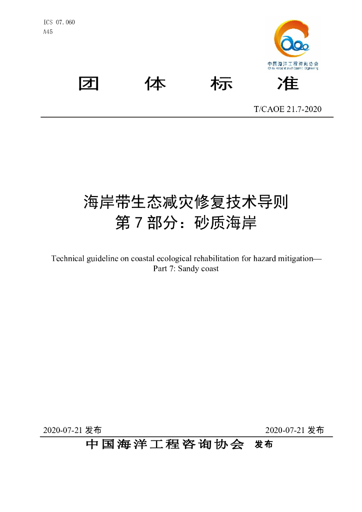 T/CAOE 21.7-2020 标准预览