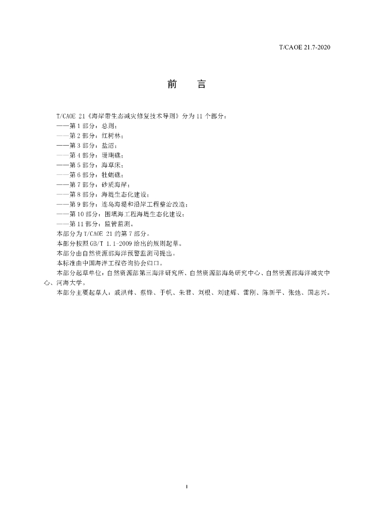 T/CAOE 21.7-2020 标准预览