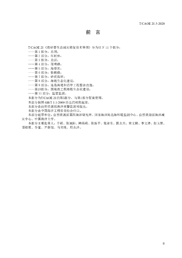 T/CAOE 21.5-2020 标准预览