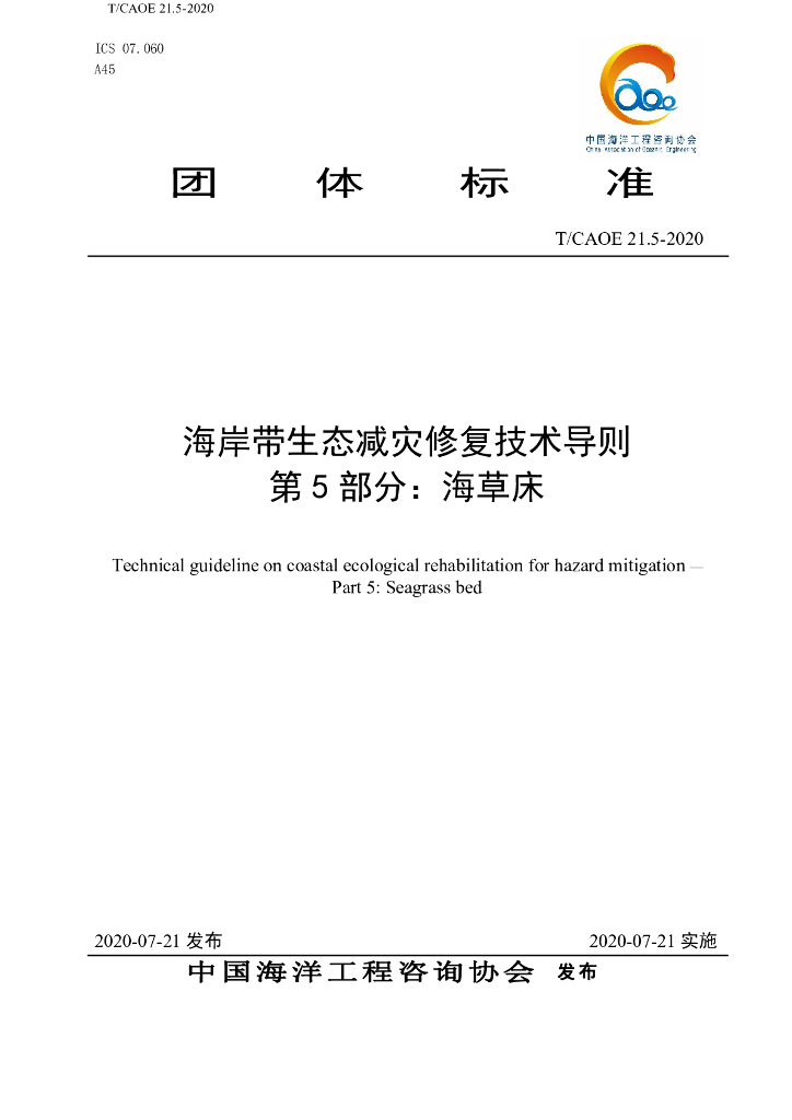 T/CAOE 21.5-2020 标准预览