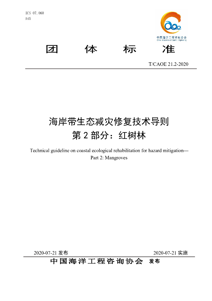 T/CAOE 21.2-2020 标准预览