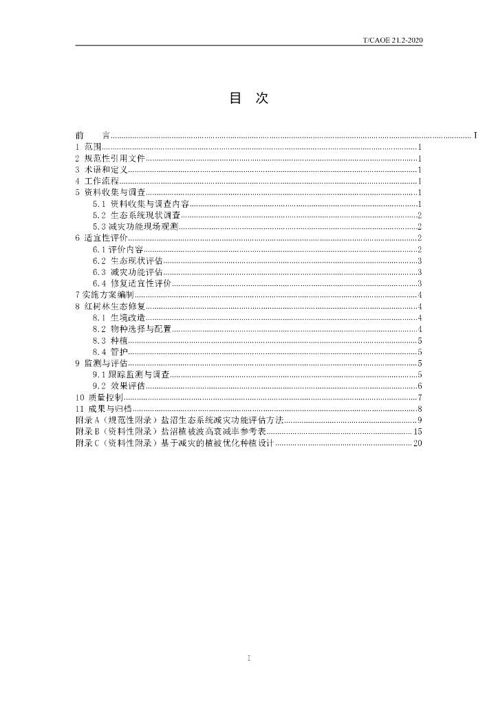 T/CAOE 21.2-2020 标准预览