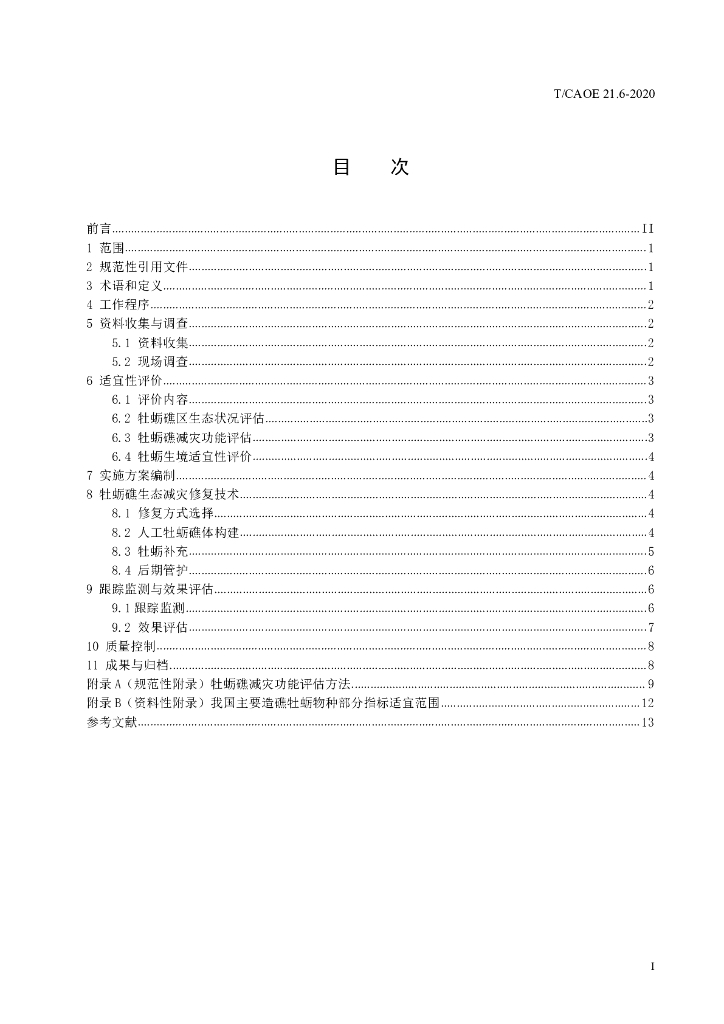 T/CAOE 21.6-2020 标准预览