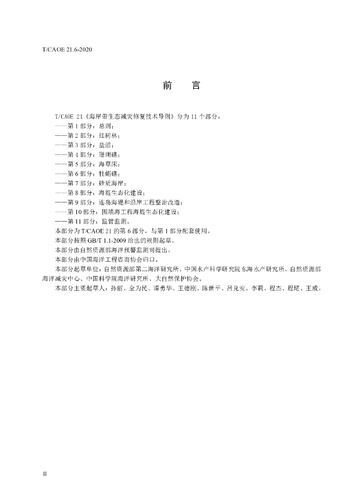 T/CAOE 21.6-2020 标准预览