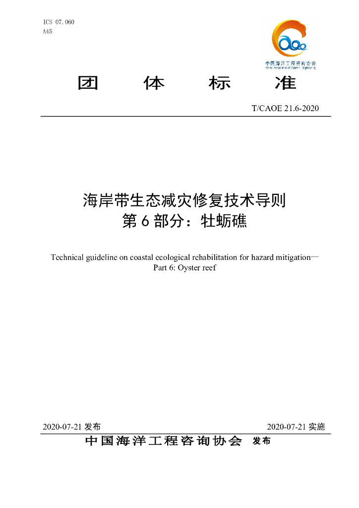 T/CAOE 21.6-2020 标准预览