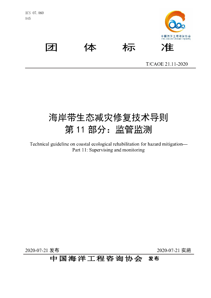 T/CAOE 21.11-2020 标准预览
