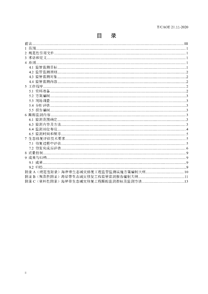 T/CAOE 21.11-2020 标准预览