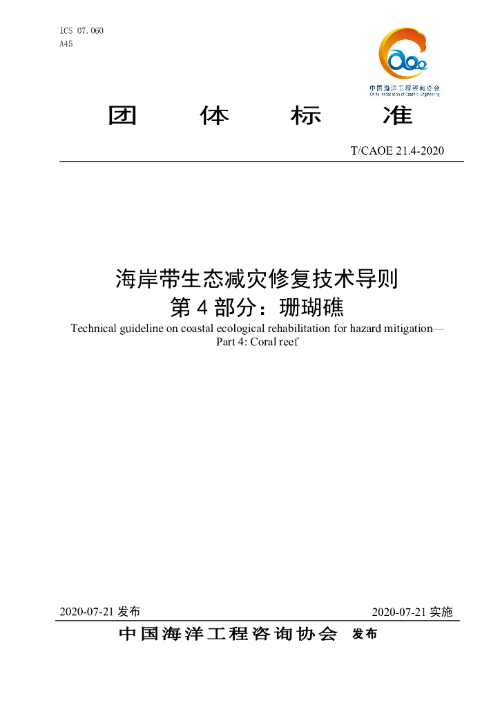 T/CAOE 21.4-2020 标准预览