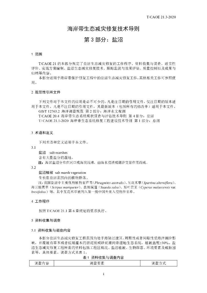 T/CAOE 21.3-2020 标准预览