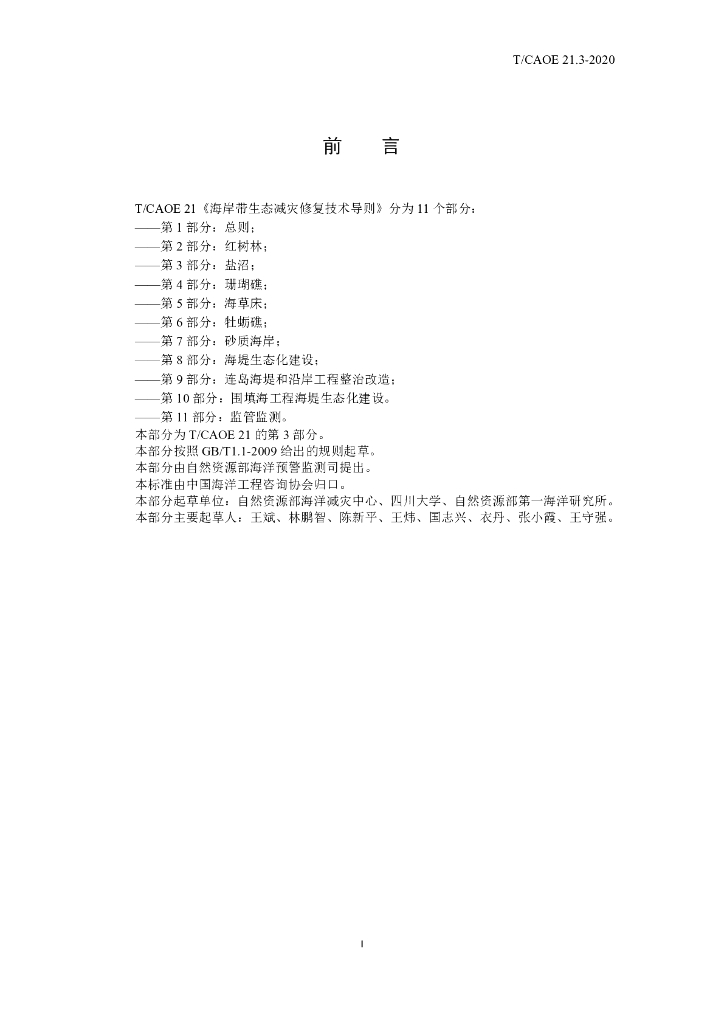 T/CAOE 21.3-2020 标准预览