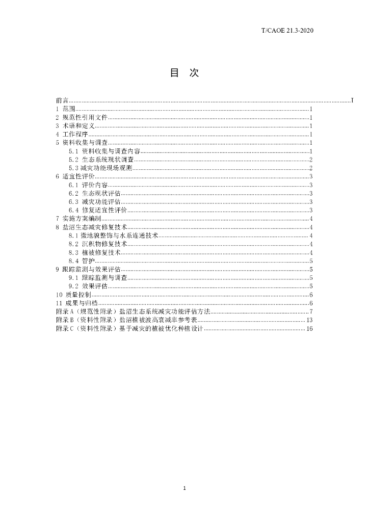 T/CAOE 21.3-2020 标准预览