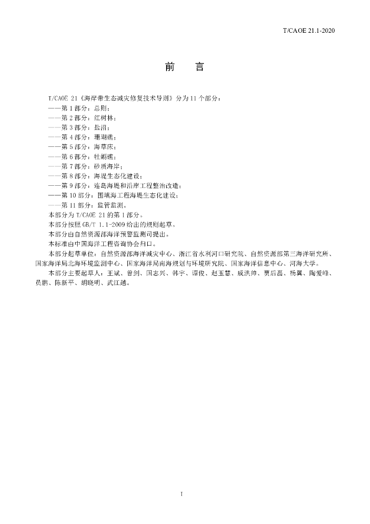 T/CAOE 21.1-2020 标准预览