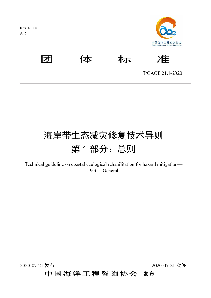 T/CAOE 21.1-2020 标准预览