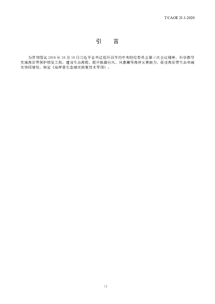 T/CAOE 21.1-2020 标准预览