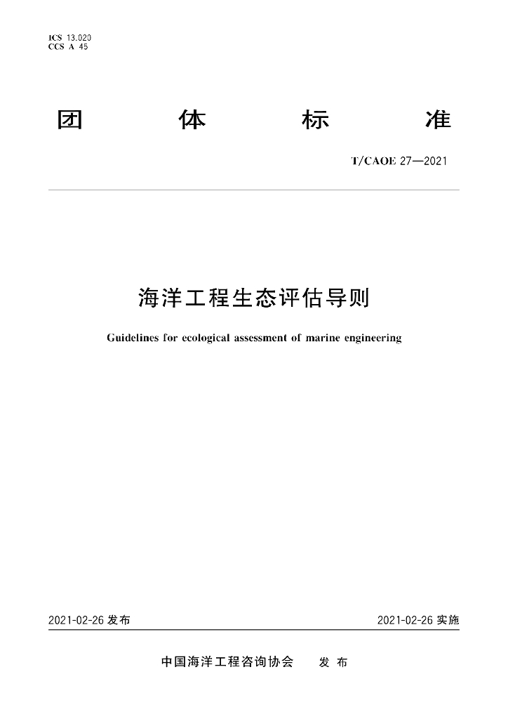 T/CAOE 27-2021 标准预览