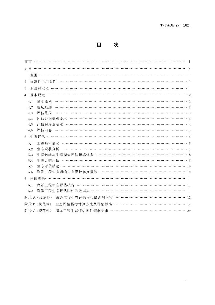 T/CAOE 27-2021 标准预览