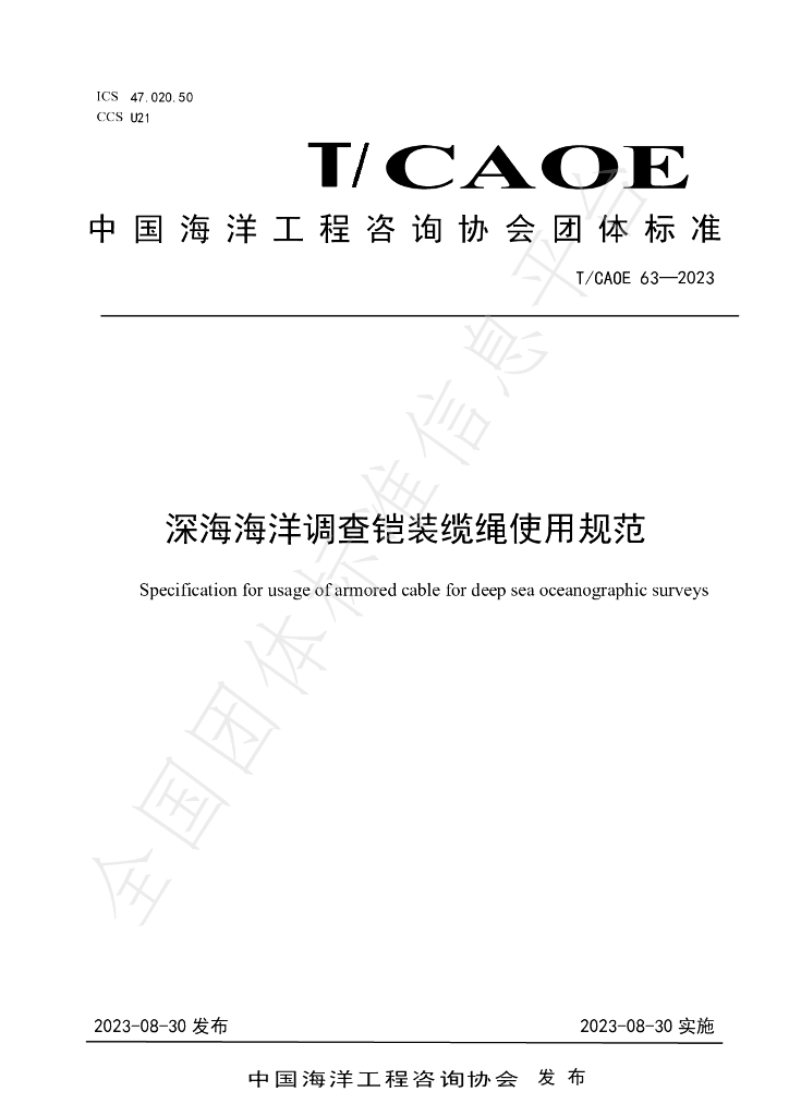 T/CAOE 63-2023 标准预览