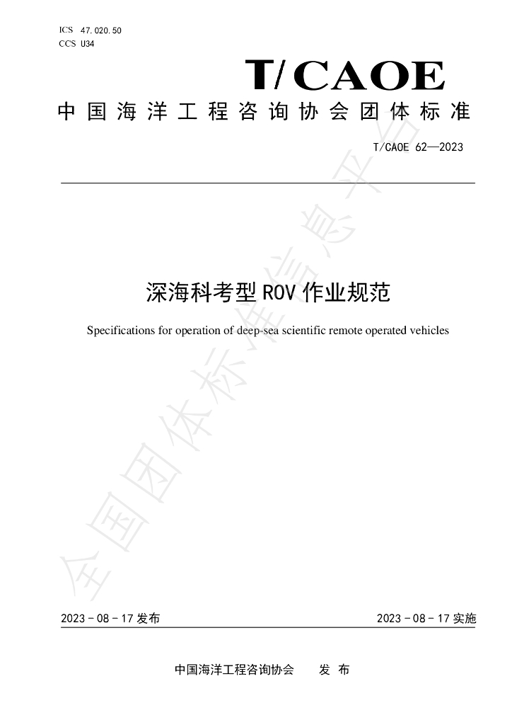 T/CAOE 62-2023 标准预览