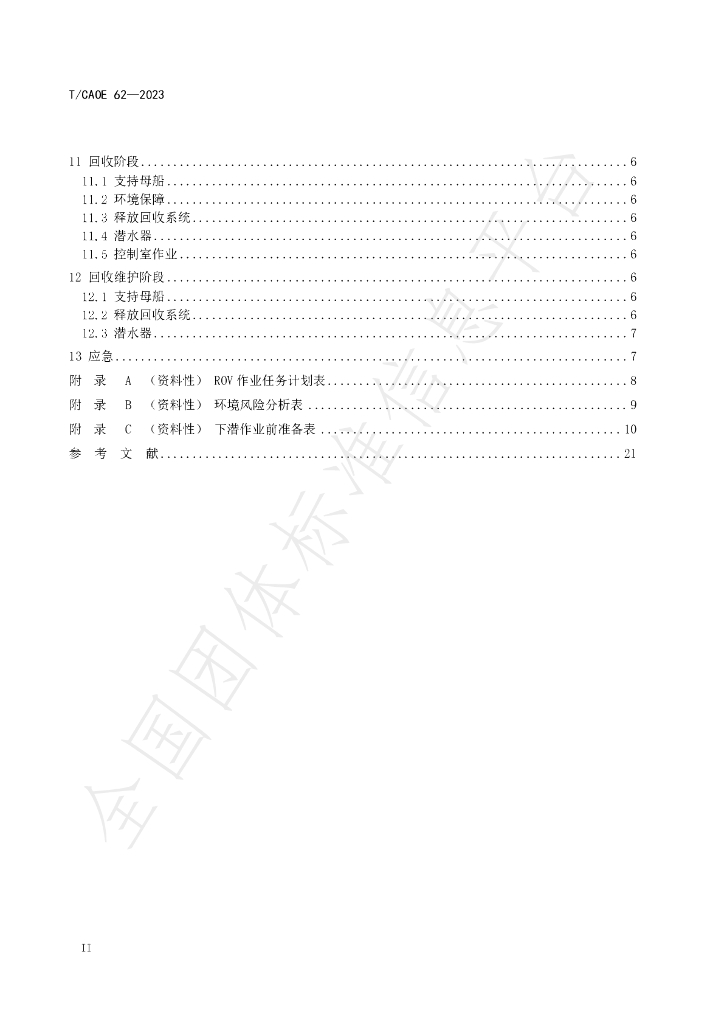 T/CAOE 62-2023 标准预览
