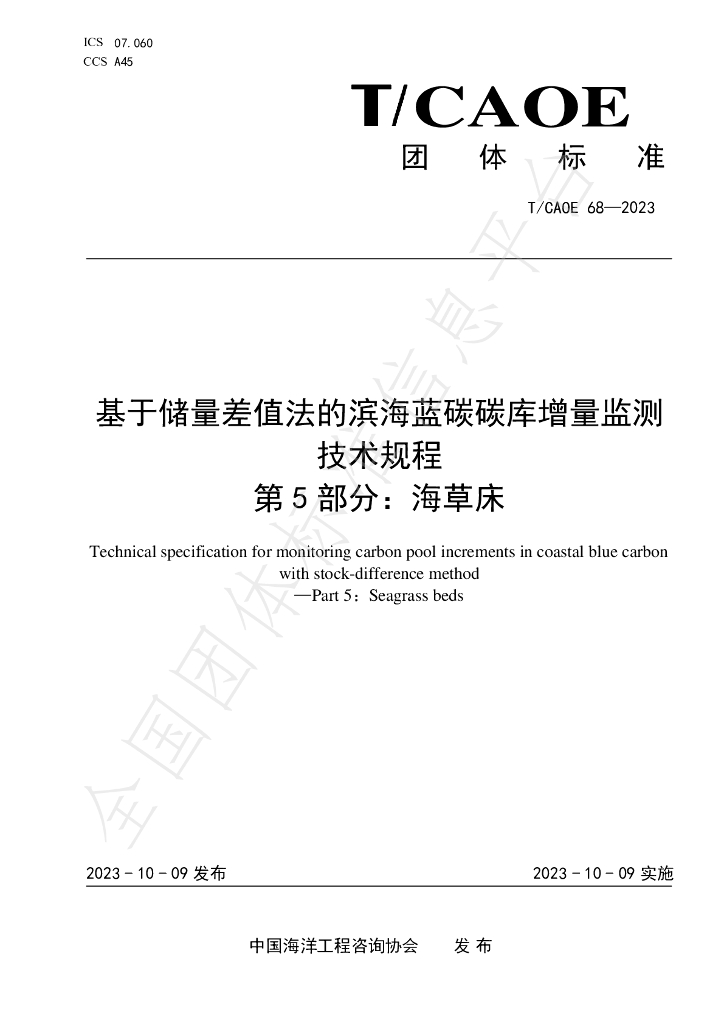 T/CAOE 68-2023 标准预览