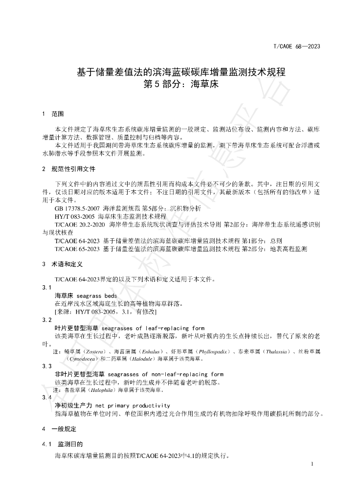 T/CAOE 68-2023 标准预览