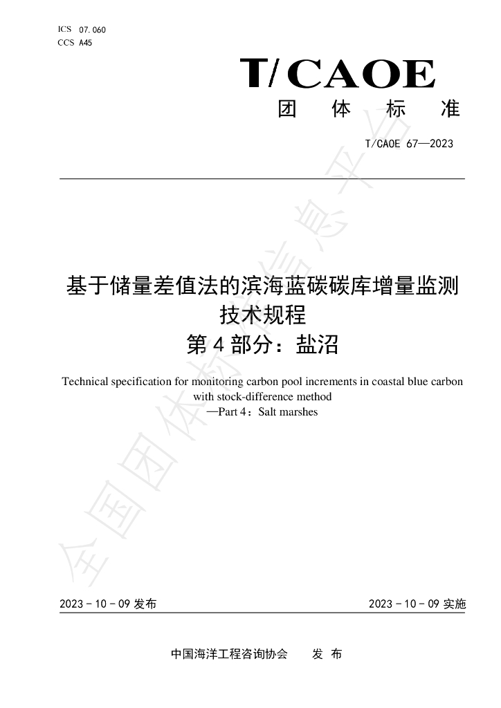 T/CAOE 67-2023 标准预览