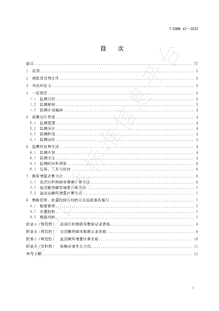 T/CAOE 67-2023 标准预览