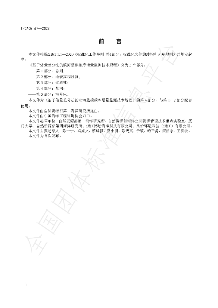 T/CAOE 67-2023 标准预览