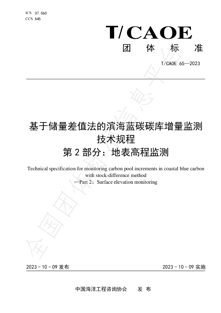 T/CAOE 65-2023 标准预览