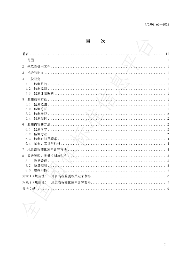 T/CAOE 65-2023 标准预览