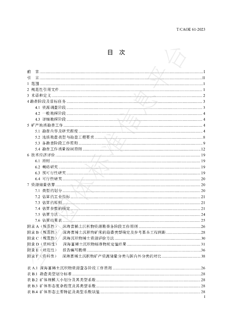 T/CAOE 61-2023 标准预览