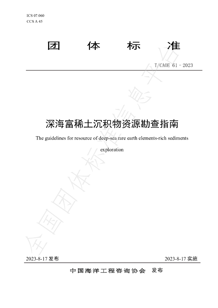 T/CAOE 61-2023 标准预览