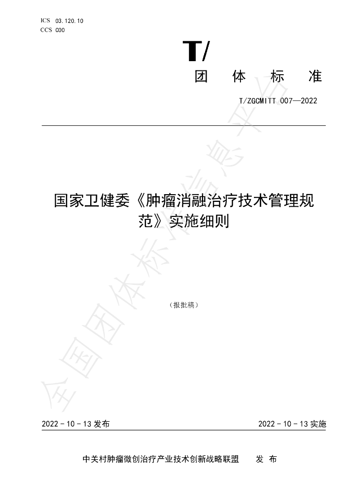 T/ZGCMITT 007-2022 标准预览