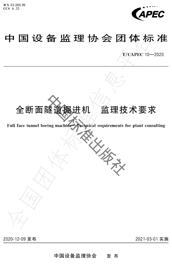 T/CAPEC 10-2020 标准预览