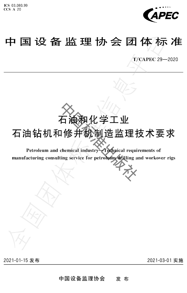 T/CAPEC 29-2020 标准预览
