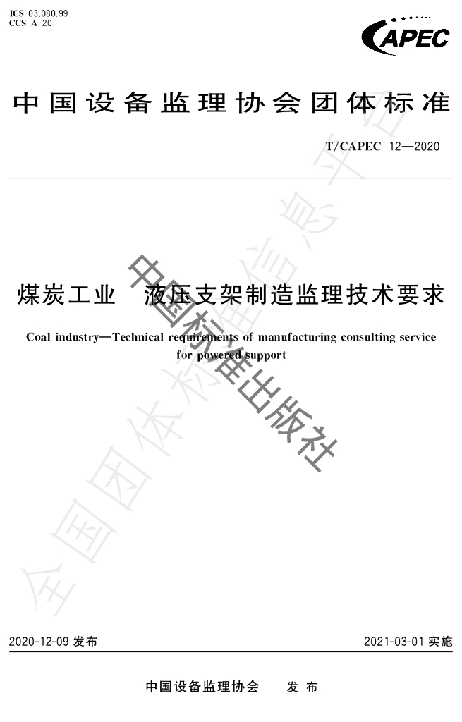 T/CAPEC 12-2020 标准预览